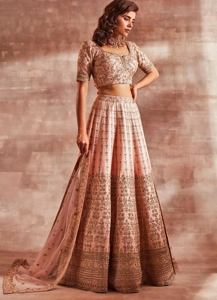 Roseate Lehenga Set Studio Iris - Fabilicious Fashion