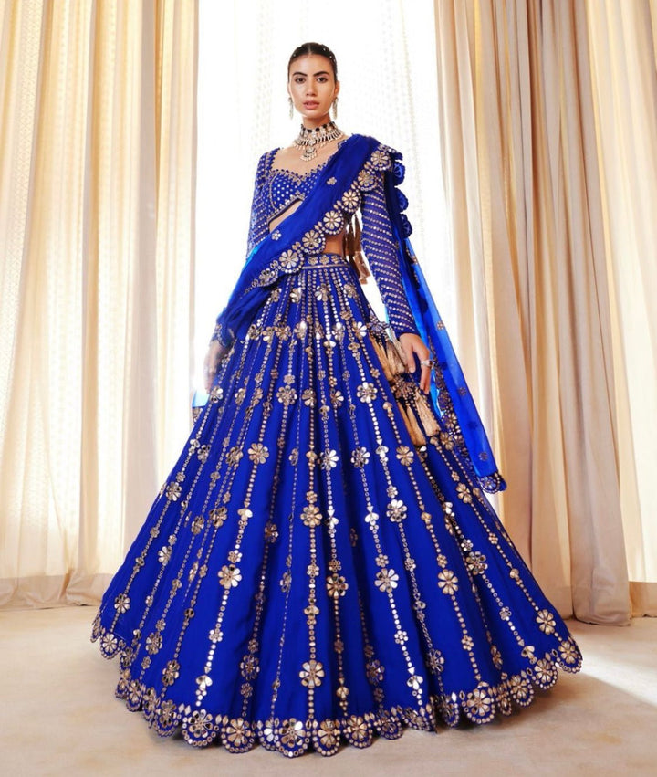Royal Blue Big Flower Linear Lehenga Set Vvani by Vani Vats - Fabilicious Fashion