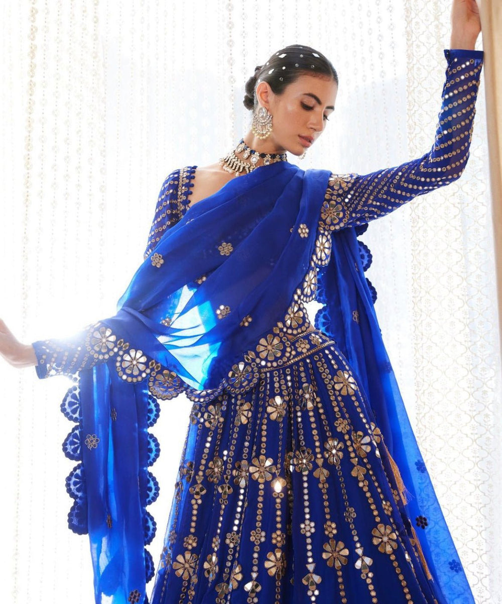 Royal Blue Big Flower Linear Lehenga Set Vvani by Vani Vats - Fabilicious Fashion