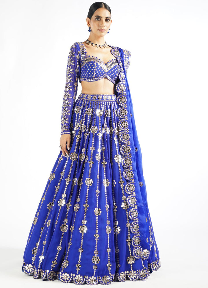 Royal Blue Big Flower Linear Lehenga Set Vvani by Vani Vats - Fabilicious Fashion