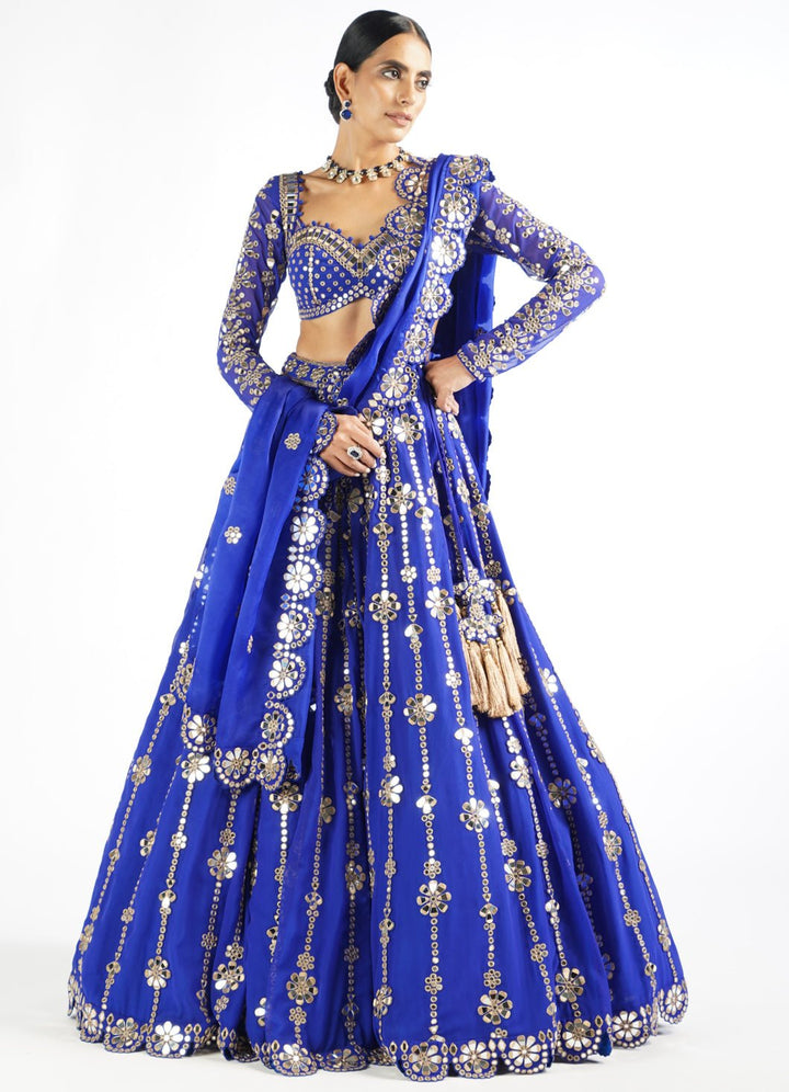 Royal Blue Big Flower Linear Lehenga Set Vvani by Vani Vats - Fabilicious Fashion