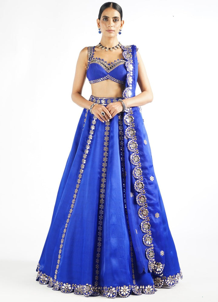 Royal Blue Flower Linear Lehenga Set Vvani by Vani Vats - Fabilicious Fashion