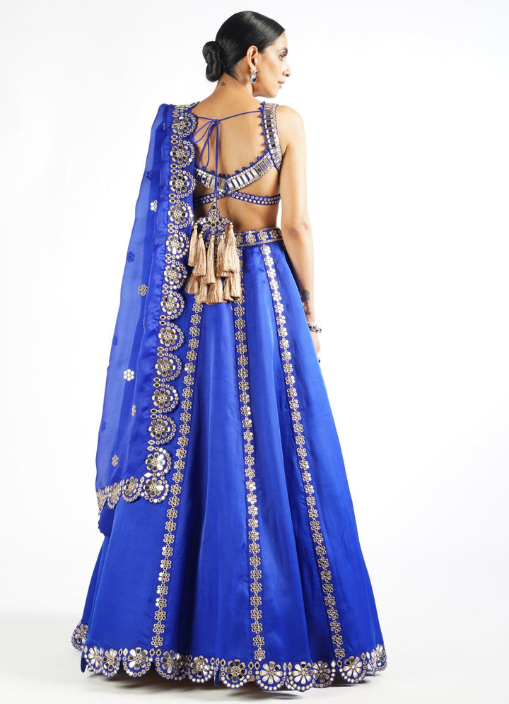 Royal Blue Flower Linear Lehenga Set Vvani by Vani Vats - Fabilicious Fashion