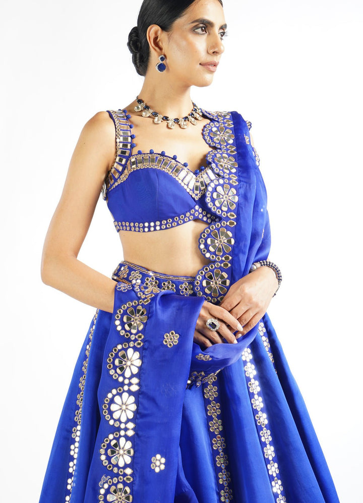 Royal Blue Flower Linear Lehenga Set Vvani by Vani Vats - Fabilicious Fashion