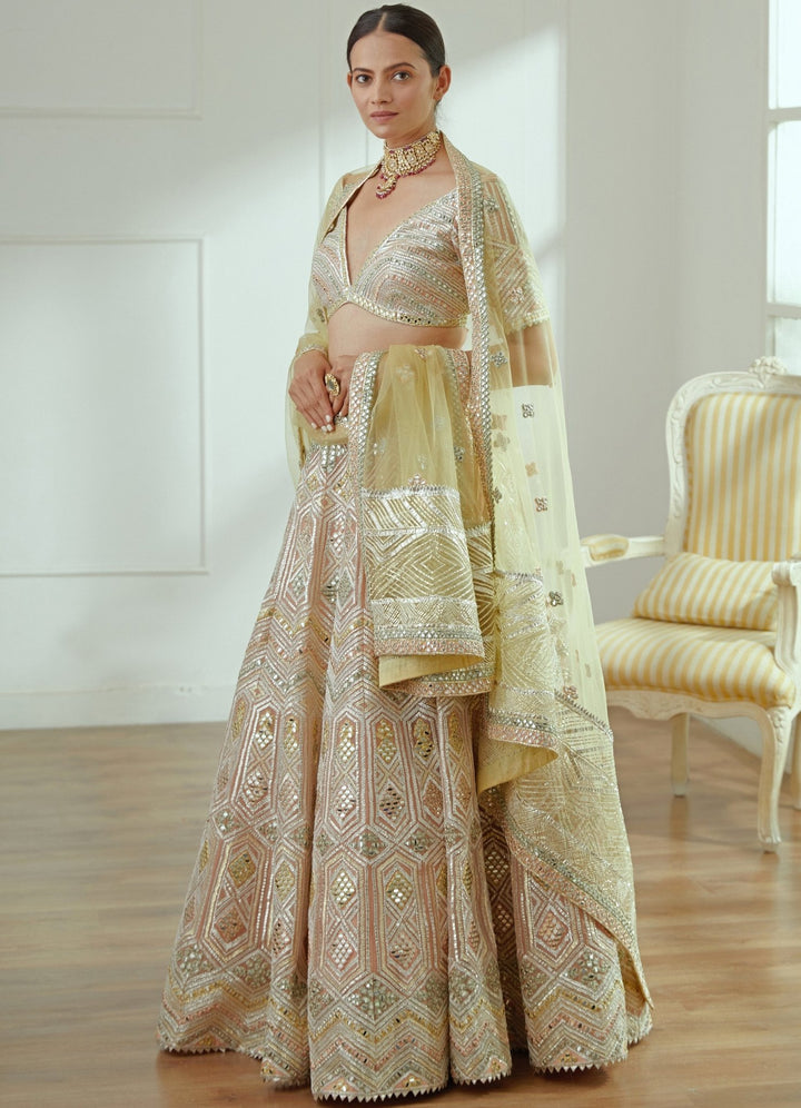 Ruhi Soft Blush Pink Lehenga Set Studio Iris - Fabilicious Fashion
