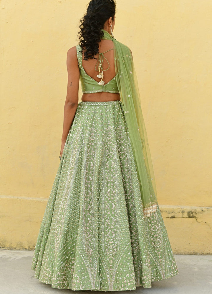 Chamee and Palak Sage Green Jaal Embroidered Lehenga SetFabilicious Fashion