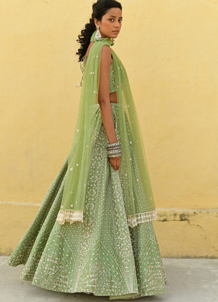Chamee and Palak Sage Green Jaal Embroidered Lehenga SetFabilicious Fashion