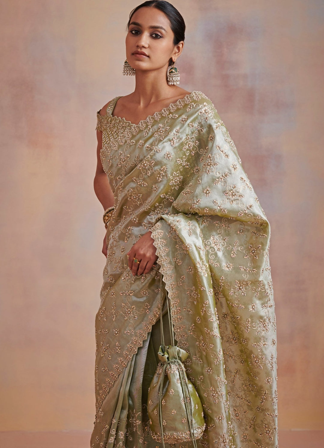 Sage green tissue saree With Embroidered blouse Suhino - Fabilicious Fashion