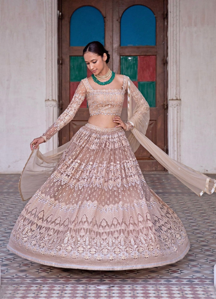 Sitara Nude Gold Lehenga Set Renee - Fabilicious Fashion