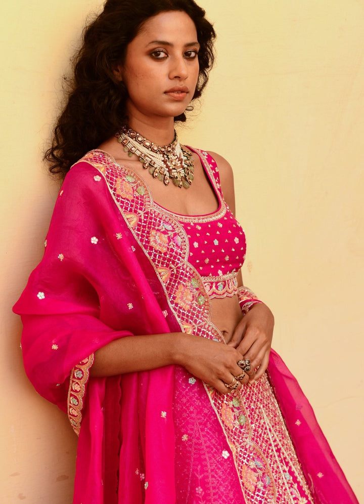 Chamee and Palak Rani Pink Zardosi And Resham Bridal Lehenga SetFabilicious Fashion