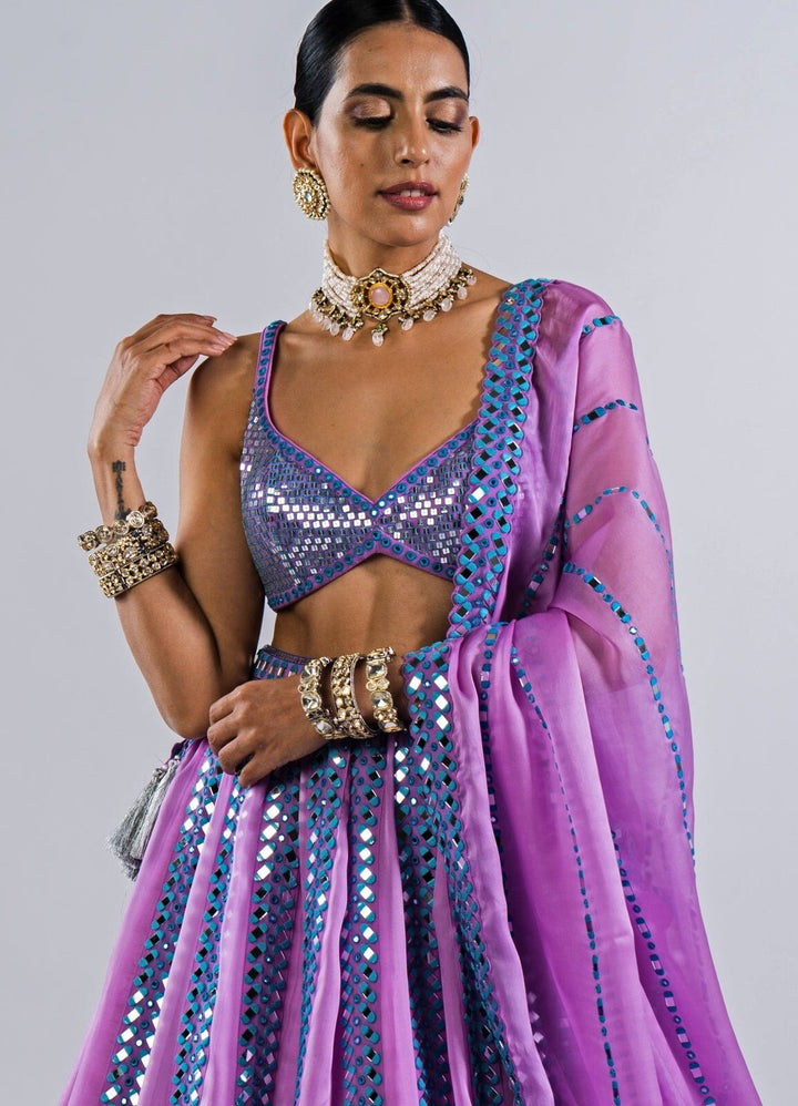 Soft Lilac Mirror Single Linear Lehenga With Metallic Blouse Vvani by Vani Vats - Fabilicious Fashion