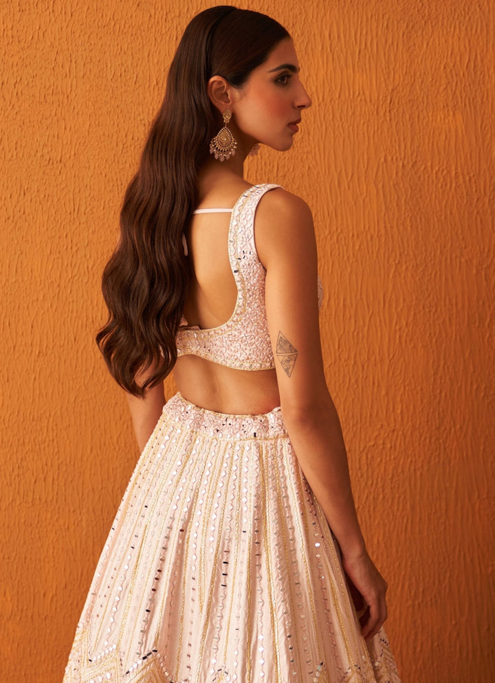Soft Pink Embellished Raw Silk Lehenga With Net Dupatta Angad Singh - Fabilicious Fashion