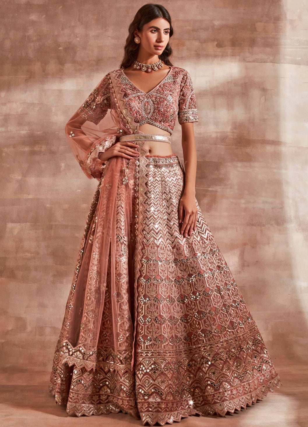Starlight Lehenga Set Studio Iris - Fabilicious Fashion
