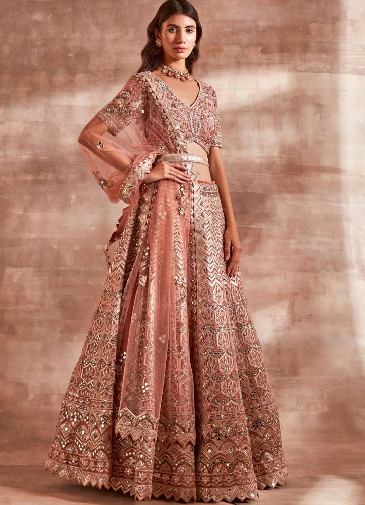 Starlight Lehenga Set Studio Iris - Fabilicious Fashion
