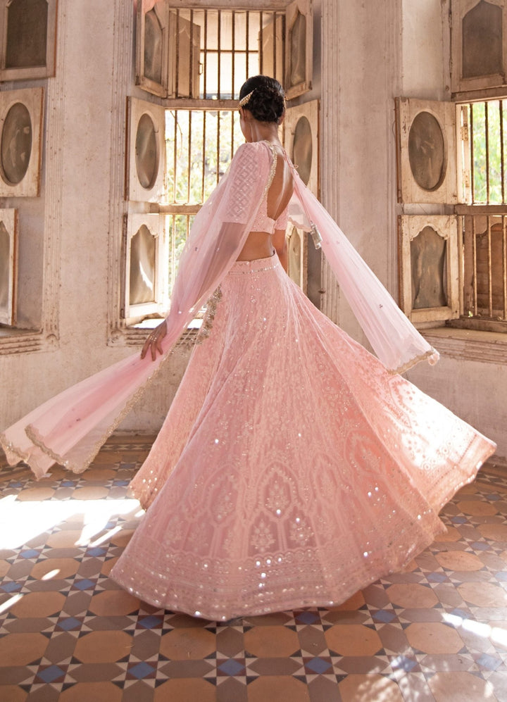 Suhani Blush Pink Lehenga Set Renee - Fabilicious Fashion