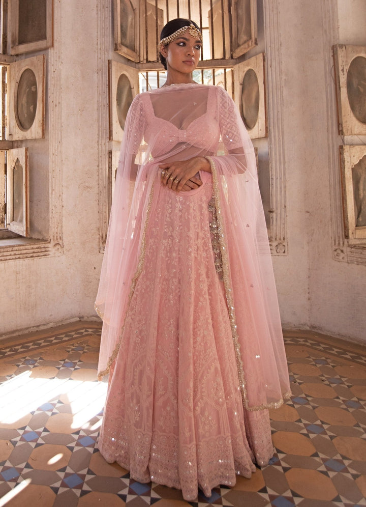 Suhani Blush Pink Lehenga Set Renee - Fabilicious Fashion