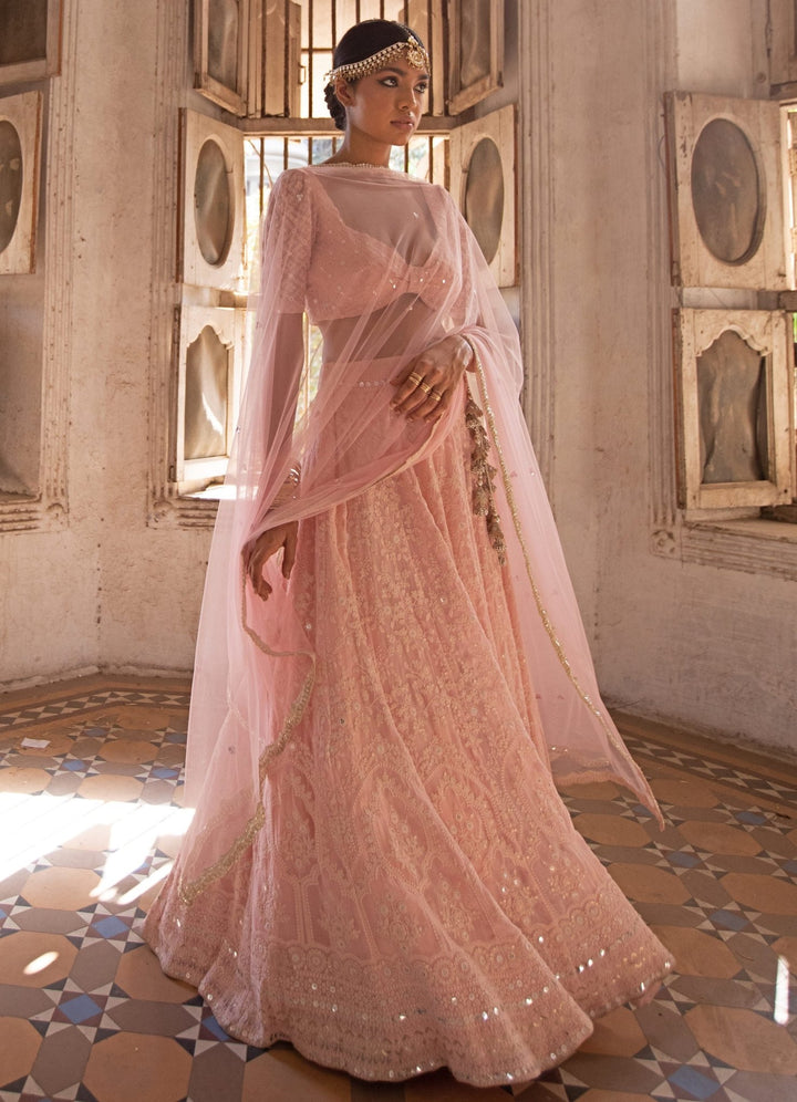 Suhani Blush Pink Lehenga Set Renee - Fabilicious Fashion