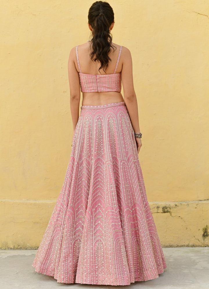 Valentine Pink Embroidered Lehenga Set Chamee n Palak - Fabilicious Fashion