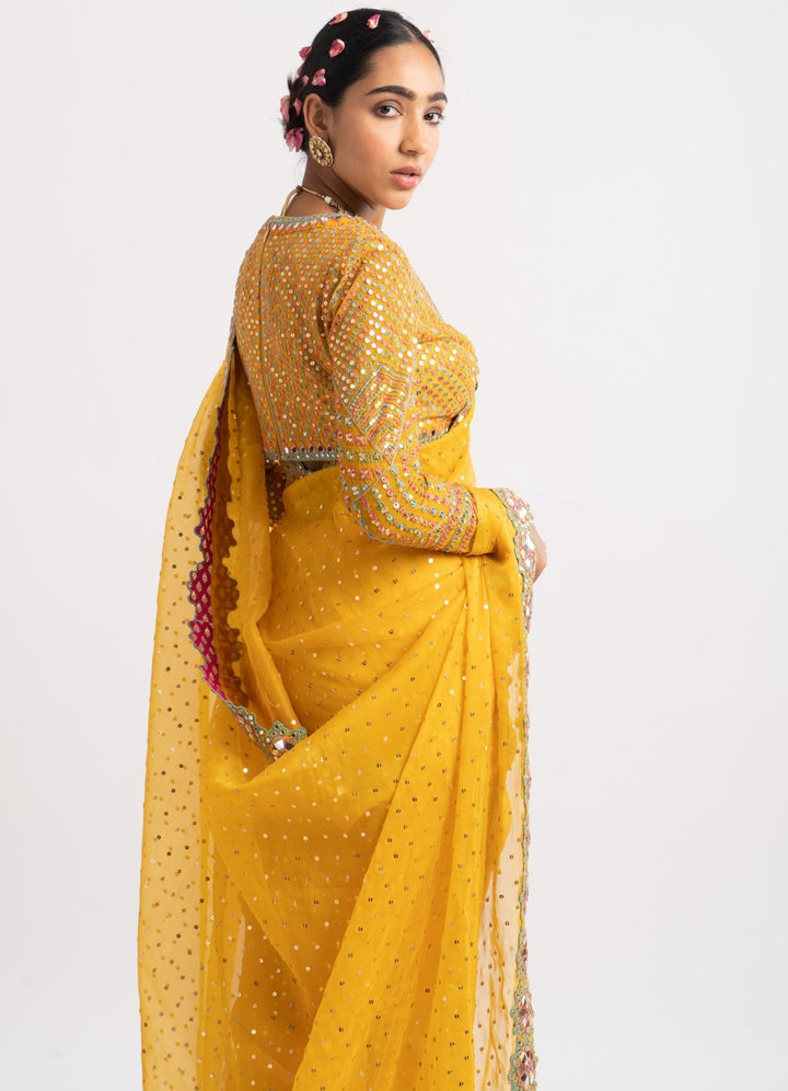 Yellow Hand Cut Mirror Border Saree Set Vvani by Vani Vats - Fabilicious Fashion